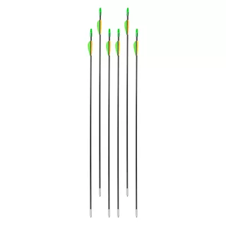 Fiberglass Arrows inSPORTline Klarkson 30” – 6 Pcs.