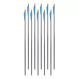 Aluminum Arrows w/ Screw-In Tips inSPORTline Aluson 30” – 10 Pcs.