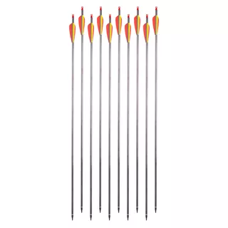 Carbon Arrows w/ Screw-In Tips inSPORTline Carbison 30” – 10 Pcs.