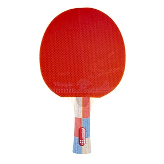 Table Tennis Paddle inSPORTline Shootfair S7