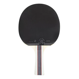 Table Tennis Paddle inSPORTline Shootfair S3