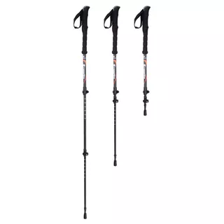 Kijki trekkingowe nordic walking inSPORTline Montgato