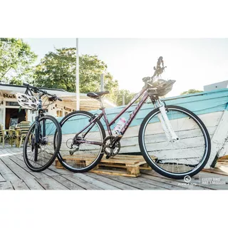 Dámsky crossový bicykel KELLYS CLEA 70 28" - model 2018 - White