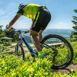 Crussis e-Largo 10.4 - Elektro Mountainbike Modell 2019