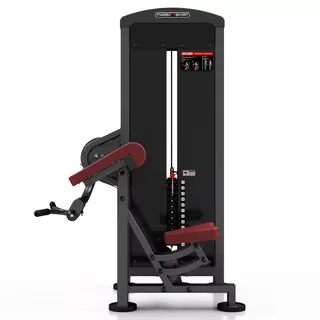 Bicep Curl Machine Marbo Sport MP-U232