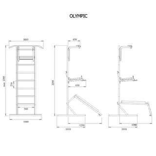 Freestanding Wall Bars BenchK Olympic