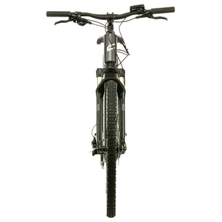 Cross E-Bike Crussis ONE-Cross Low 9.9-S – 2024