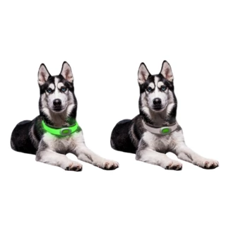 LED нашийник за кучета Petsaber Maxi
