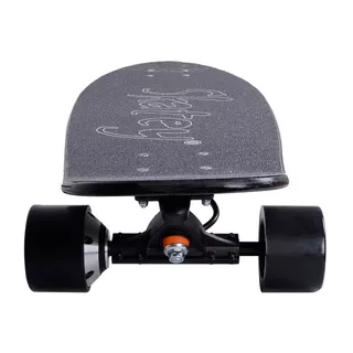 Electric Longboard Skatey 350L Black