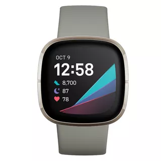 Chytré hodinky Fitbit Sense Sage Grey/Silver Stainless Steel