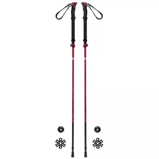 Trekking Poles FERRINO Spantik SS23