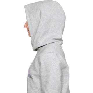 Dámska mikina Under Armour Cotton Fleece Sportstyle Logo Hoodie - Mod Gray Light Heather