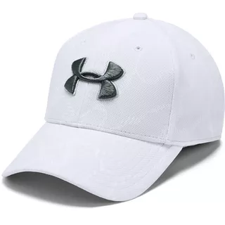 Šiltovka Under Armour Men's Printed Blitzing 3.0 - Halo Gray