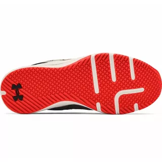 Pánská tréninková obuv Under Armour Charged Focus - Grey