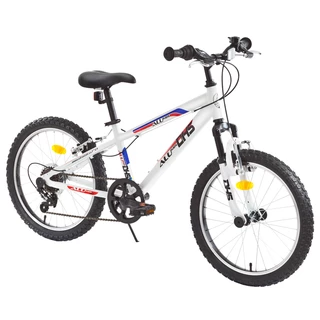 Children bike DHS 2023 20" - model 2013