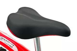 Ducati kid's bike Ciclo 20" 2013