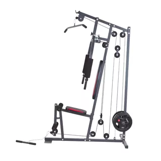 Home Gym inSPORTline ProfiGym N10