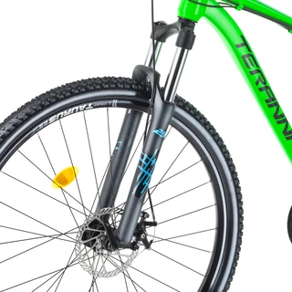 Horský bicykel DHS Teranna 2925 29" - model 2018 - Green
