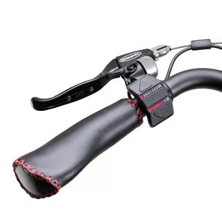 Městské elektrokolo Devron 28127 28" 4.0 - Black