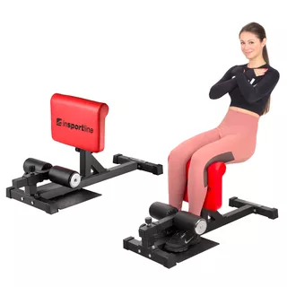 Home Gym inSPORTline Squo