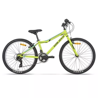 Junior Bike Galaxy Aries 24” – 2020 - Green