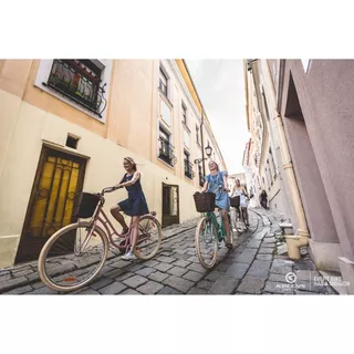 KELLYS ARWEN DUTCH 28" - Stadtfahrrad Modell 2019