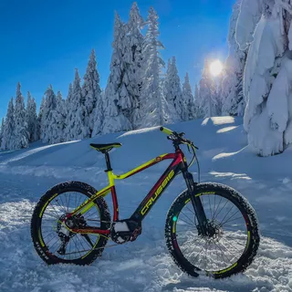 Mountain E-Bike Crussis e-Atland 8.6-M - model 2021