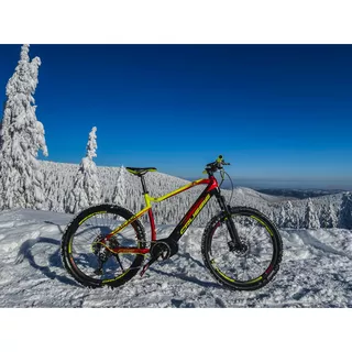 Mountain E-Bike Crussis e-Atland 8.6-M - model 2021