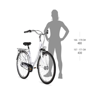 Dámsky mestský bicykel KELLYS AVENUE 20 28" - model 2020 - 480 mm (19")