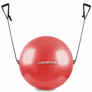 Gymnastics Ball with Grips inSPORTline 55 cm - Grey - Red