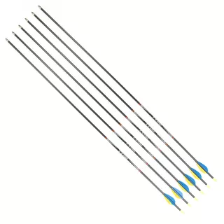 Carbon Arrows Disport Mixx 32/1100 6 Pcs.