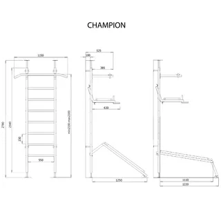 Wall Bars BenchK Champion