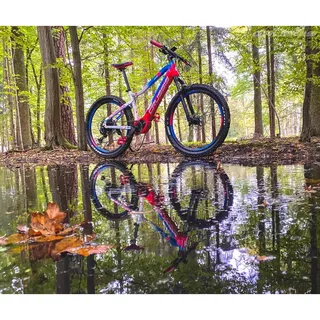 Damen E-Mountainbike Crussis e-Guera 9.6-M - model 2021