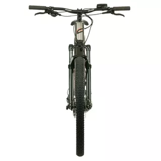 Mountain E-Bike Crussis e-Largo 8.9-M – 2024