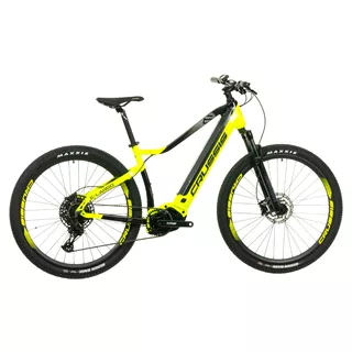 Mountain E-Bike Crussis e-Largo 9.9-M – 2024