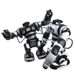 Roboman