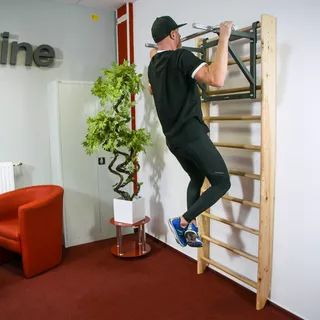 Wall-Mounted Pull-Up Bar inSPORTline LCR-1115