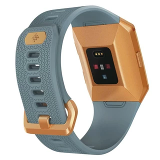 Smart Watch Fitbit Ionic - Charcoal/Smoke Gray