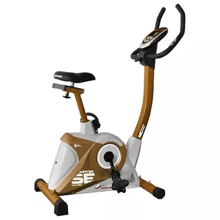 Exercise bike inSPORTline Junius Ergo SE - Brown-Purple