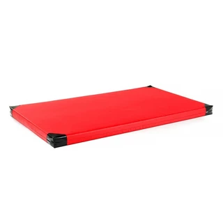 Gymnastická žinenka inSPORTline Roshar T60 200x120x10 cm - červená