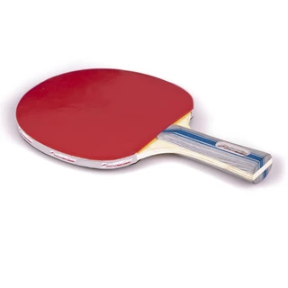 Pingpongová sada inSPORTline Table Tennis Racket Set