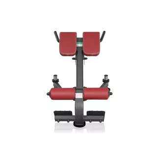 Lower Back Bench Marbo Sport MP-L212