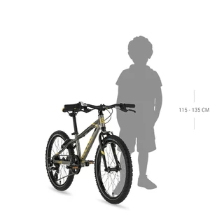Detský bicykel KELLYS LUMI 30 20" 6.0