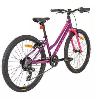 Juniorské dívčí kolo Galaxy Ruby 24" 9.0