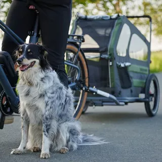 Dog Bicycle Trailer TaXXi M Dark Gray/Dark Green