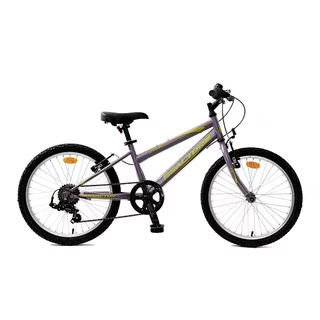 Detský bicykel Reactor Star 20" 9.0 - fialová
