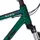 Rainforest Green