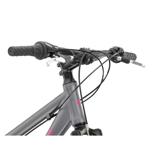 Women’s Cross Bike Kross Evado 1.0 28” – 2023 - Graphite/Raspberry