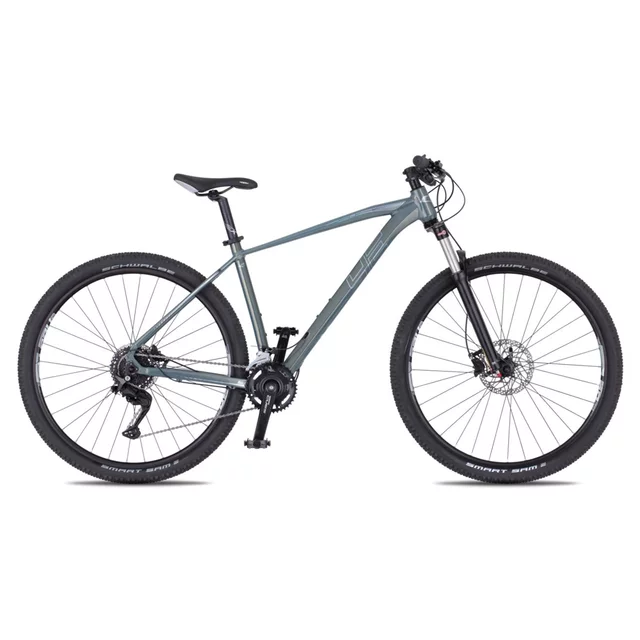 Horské kolo 4EVER FRONTBEE 29'' - model 2025 - foggy/silver