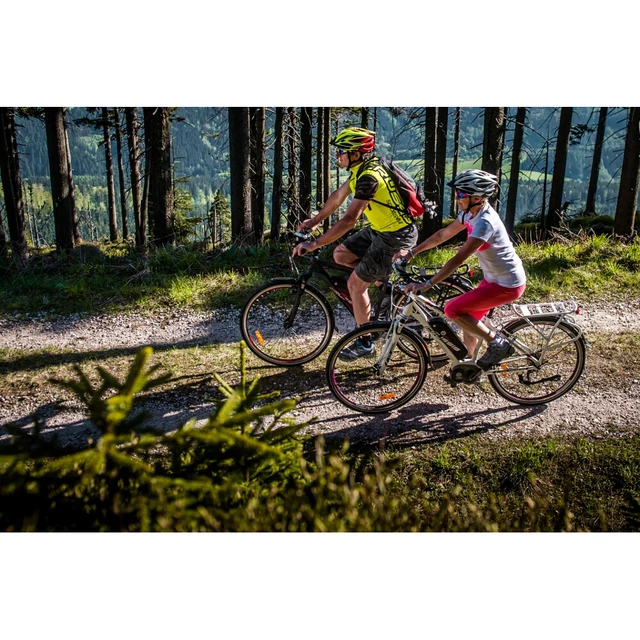 Pánské trekingové elektrokolo Crussis e-Gordo 3.1